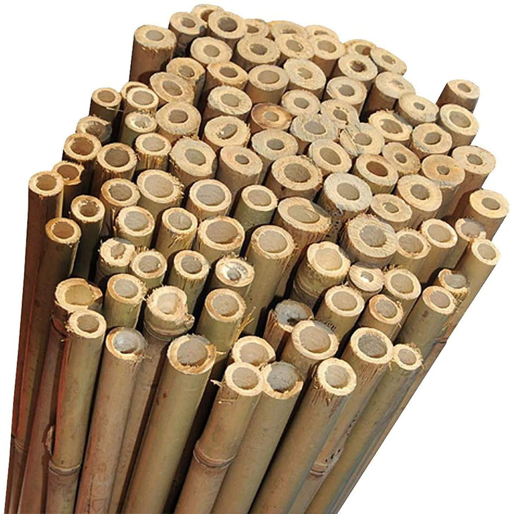 3Ft Bamboo Canes x 20