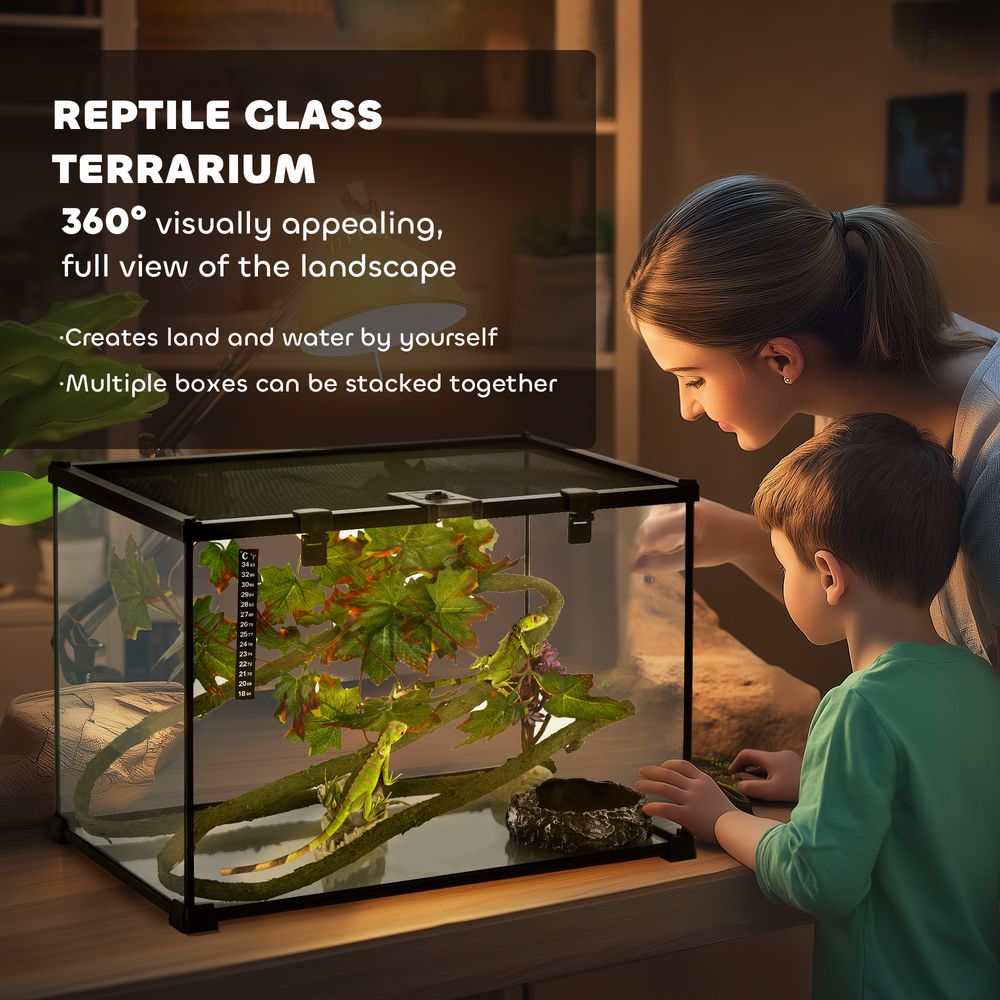 Glass Terrarium for Reptiles