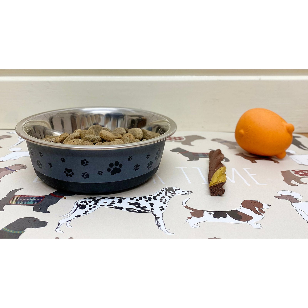 Stainless Steel Pet Bowl