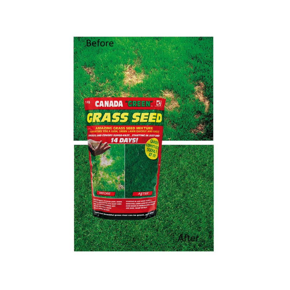 Grass Seeds 1kg