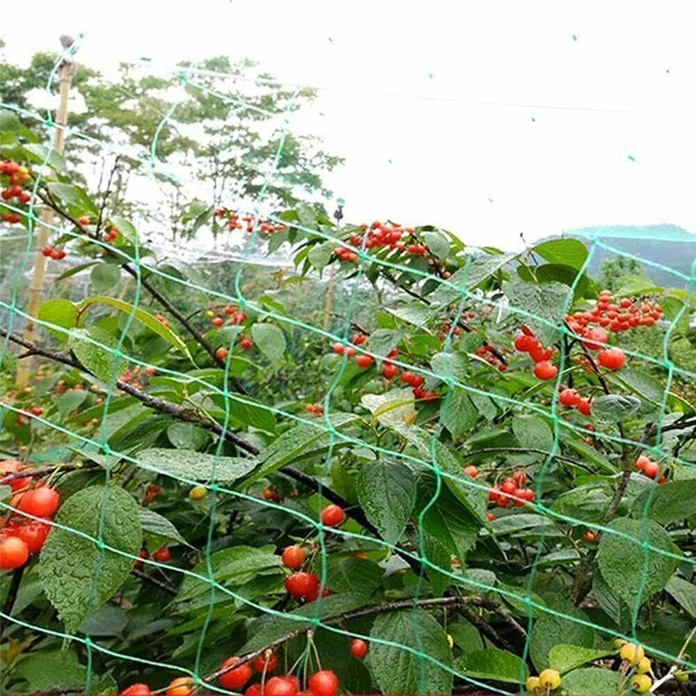 Anti Bird/Pond Netting