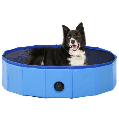 Dog Swimming Pool