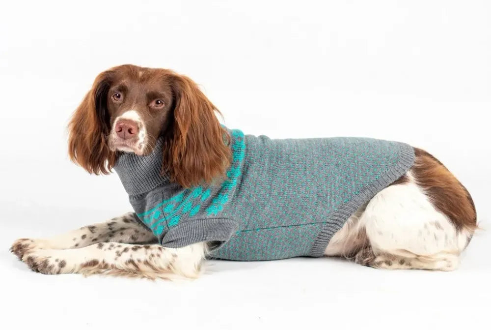 Pet Jumper Teal & Grey