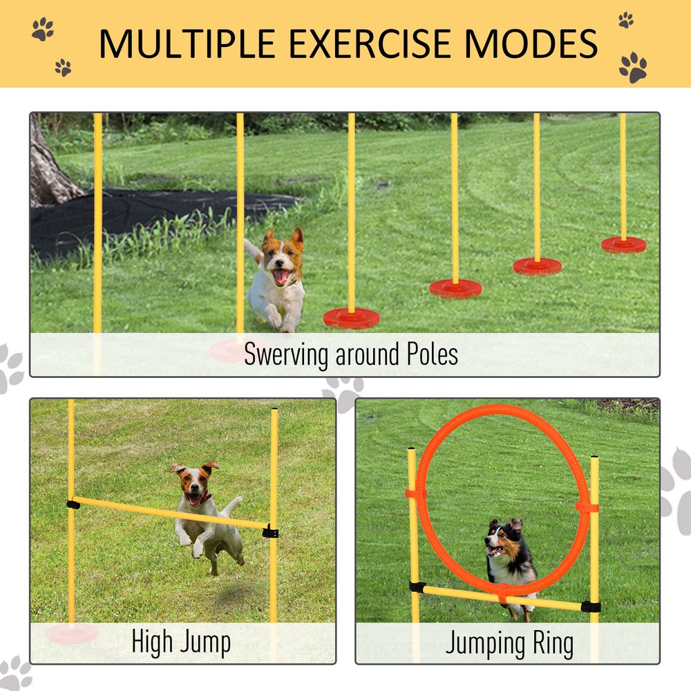 Pet Agility Set Portable