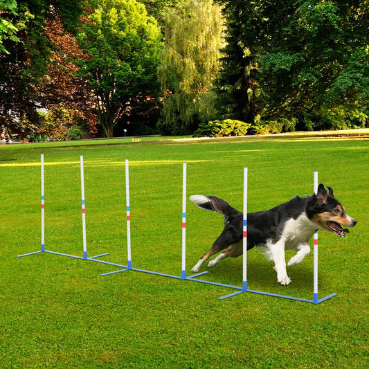 Weave Pole Agility Kit