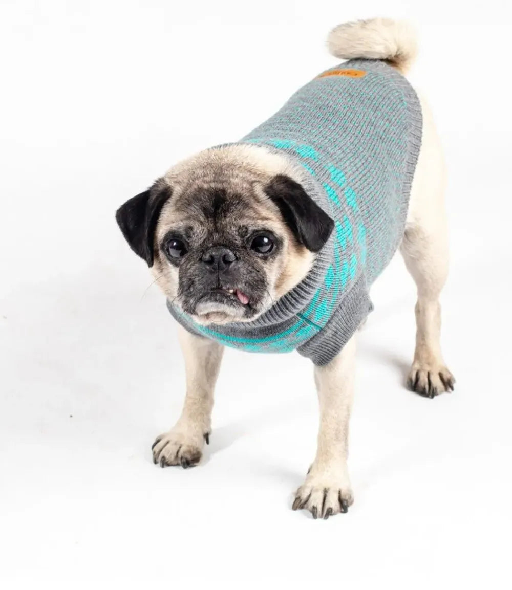 Pet Jumper Teal & Grey