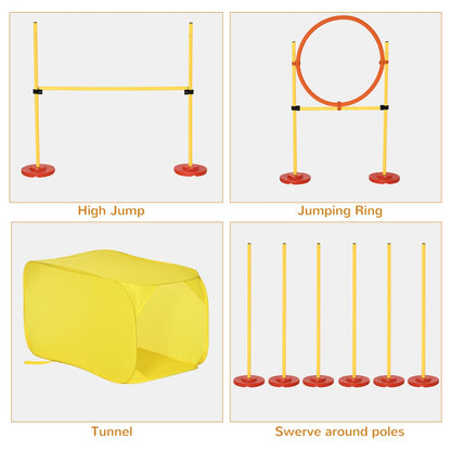 Starter Pet Agility Course