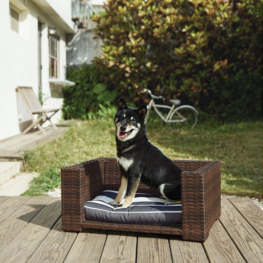 Rattan Elevated Pet Bed