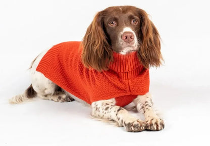 Tuck Stitch Pet Jumper Burnt Orange