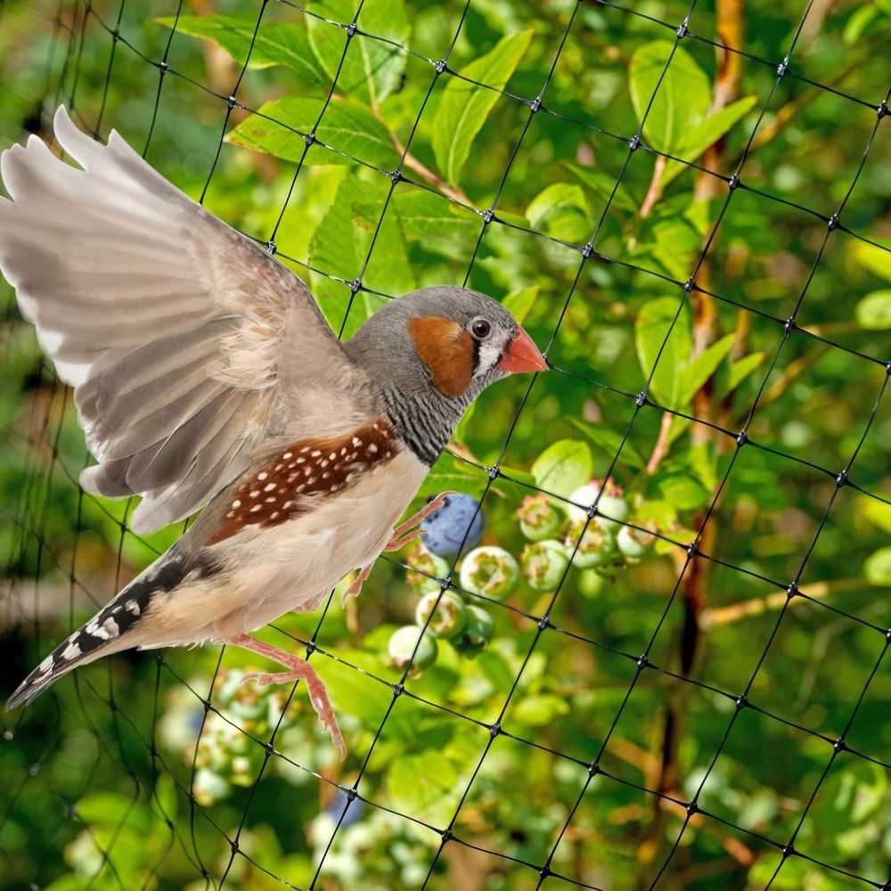 Anti Bird/Pond Netting