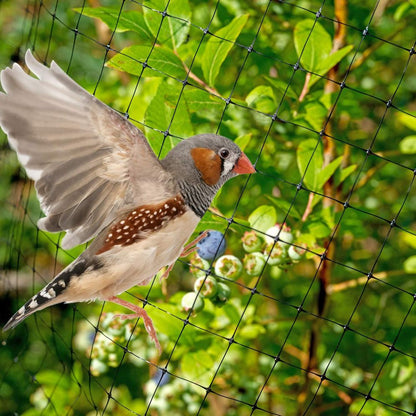 Anti Bird/Pond Netting