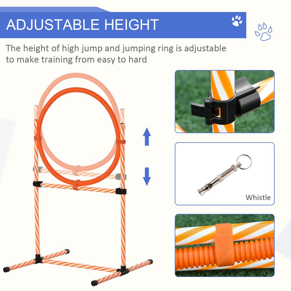 Pet Agility Training Equipment For Dogs