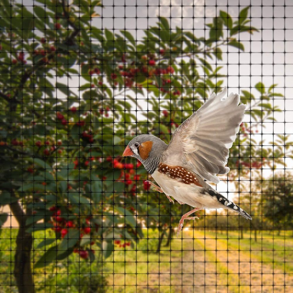 Anti Bird/Pond Netting