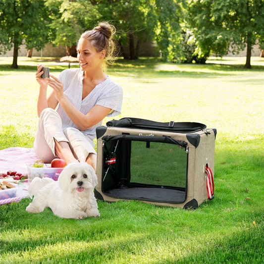 Small Pet Carrier With Cushion