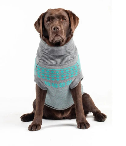 Pet Jumper Teal & Grey