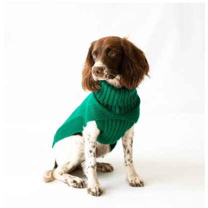 Cableknit Pet Jumper in Green