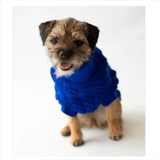 Cableknit Pet Jumper Blue