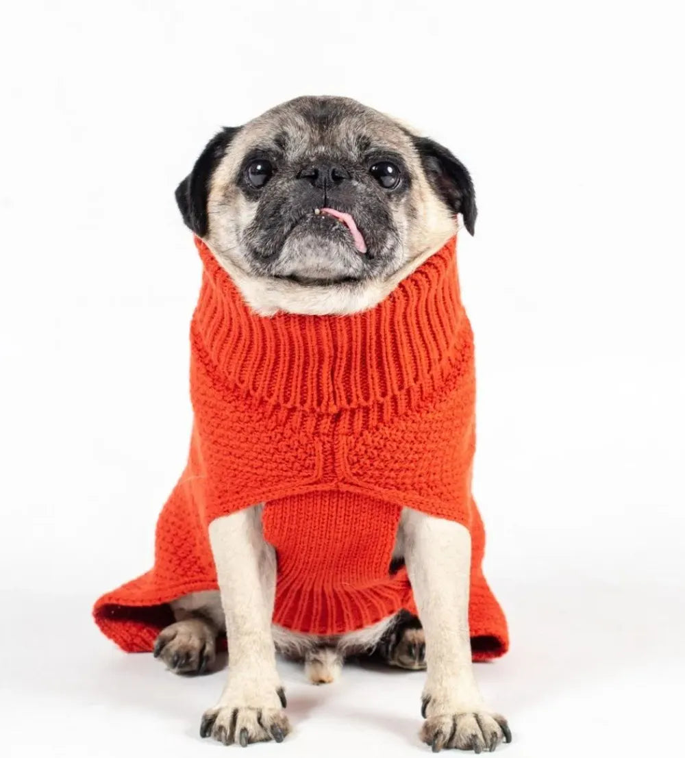 Tuck Stitch Pet Jumper Burnt Orange