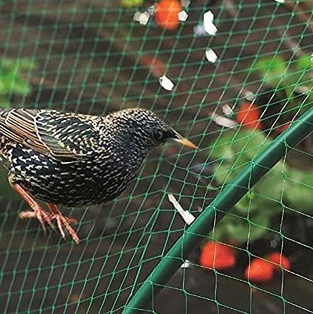 Garden Mesh Netting 2x 10m