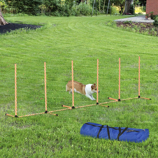 Dog Agility Pole Course