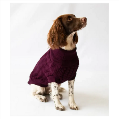 Cableknit Pet Jumper Grape