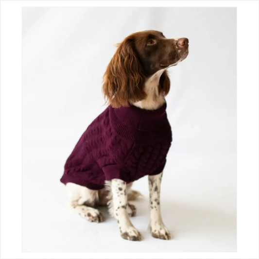 Cableknit Pet Jumper Grape