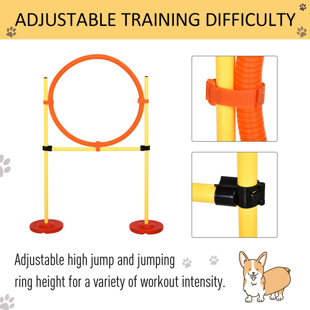 Pet Agility Set Portable