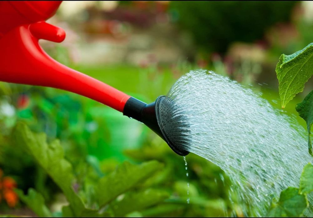 Red Watering Can