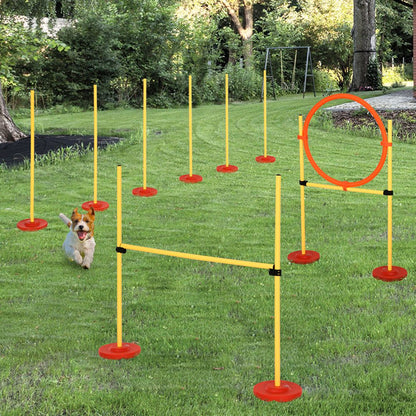 Pet Agility Set Portable