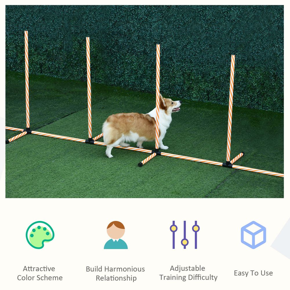 Pet Agility Training Equipment For Dogs